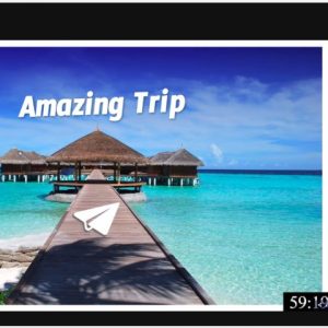 amazing trip