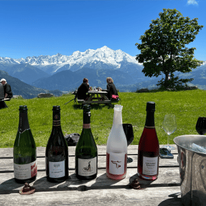 atelier dégustation de vin